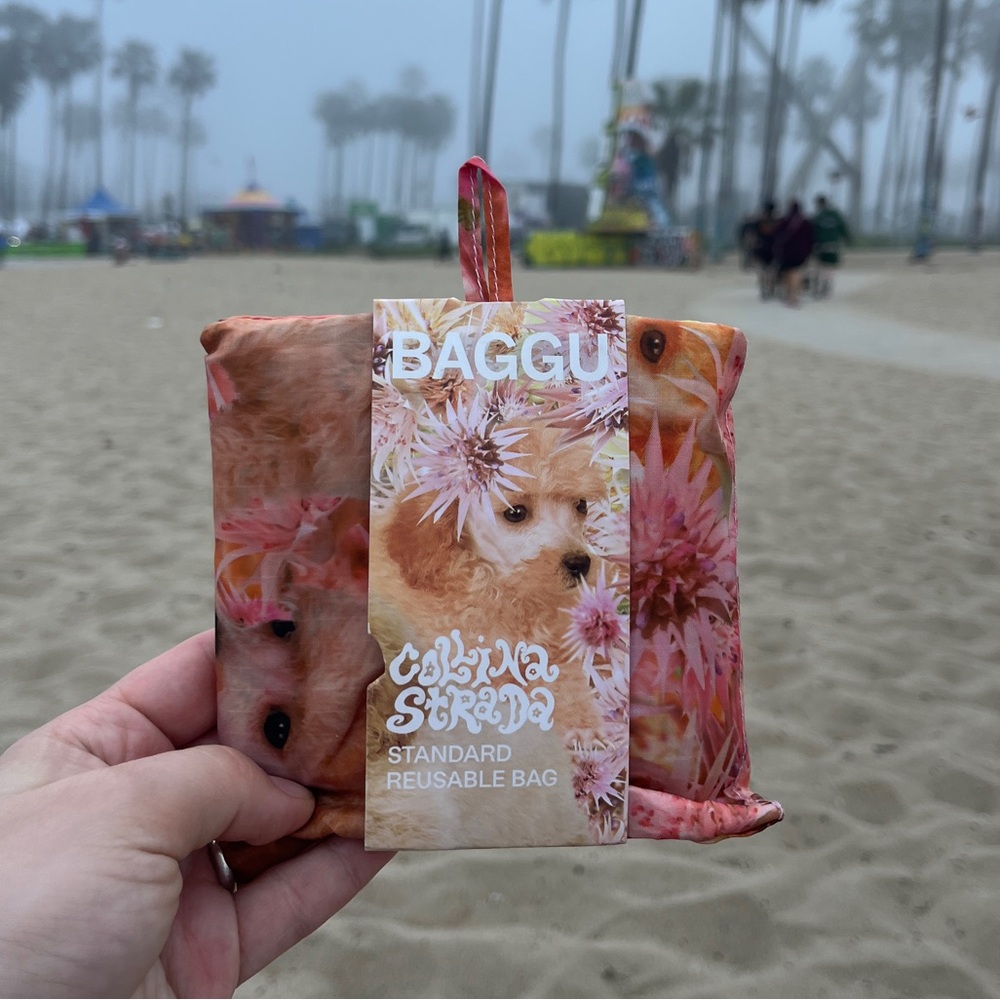 BAGGU standard reusable - collina strada spikey puppy